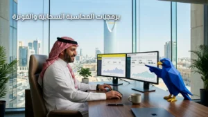 تصميم وتطوير برمجيات المحاسبة السحابية والفوترة الصقر